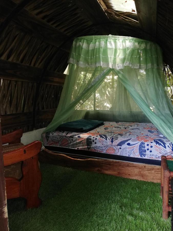 Jungle Roots Hotel Tena Exterior foto