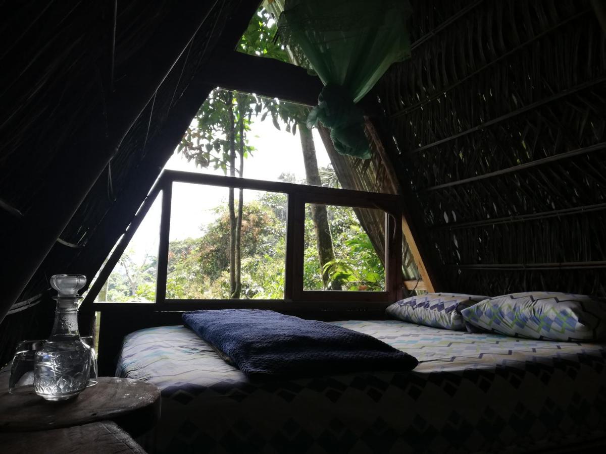 Jungle Roots Hotel Tena Exterior foto