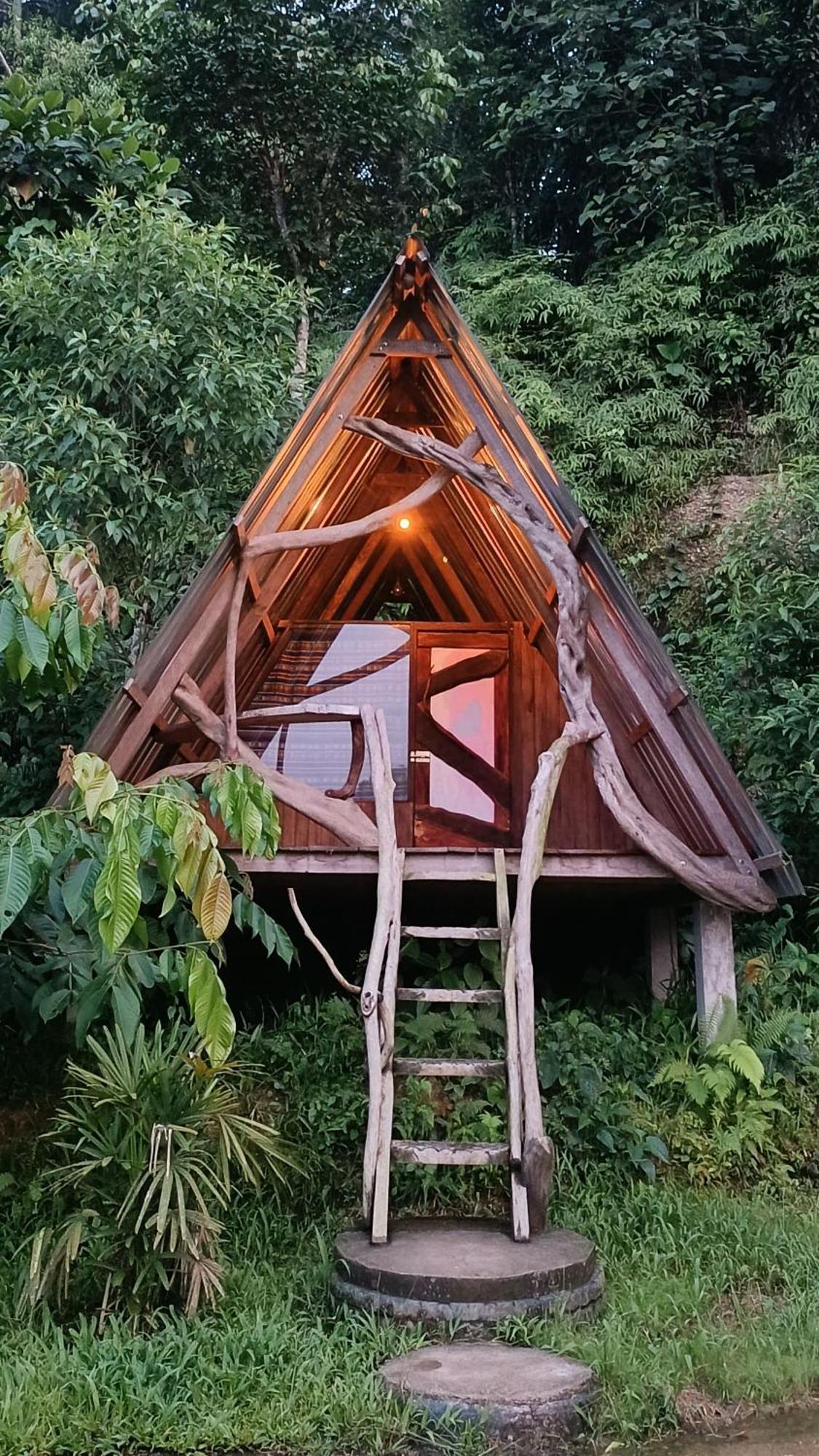 Jungle Roots Hotel Tena Exterior foto