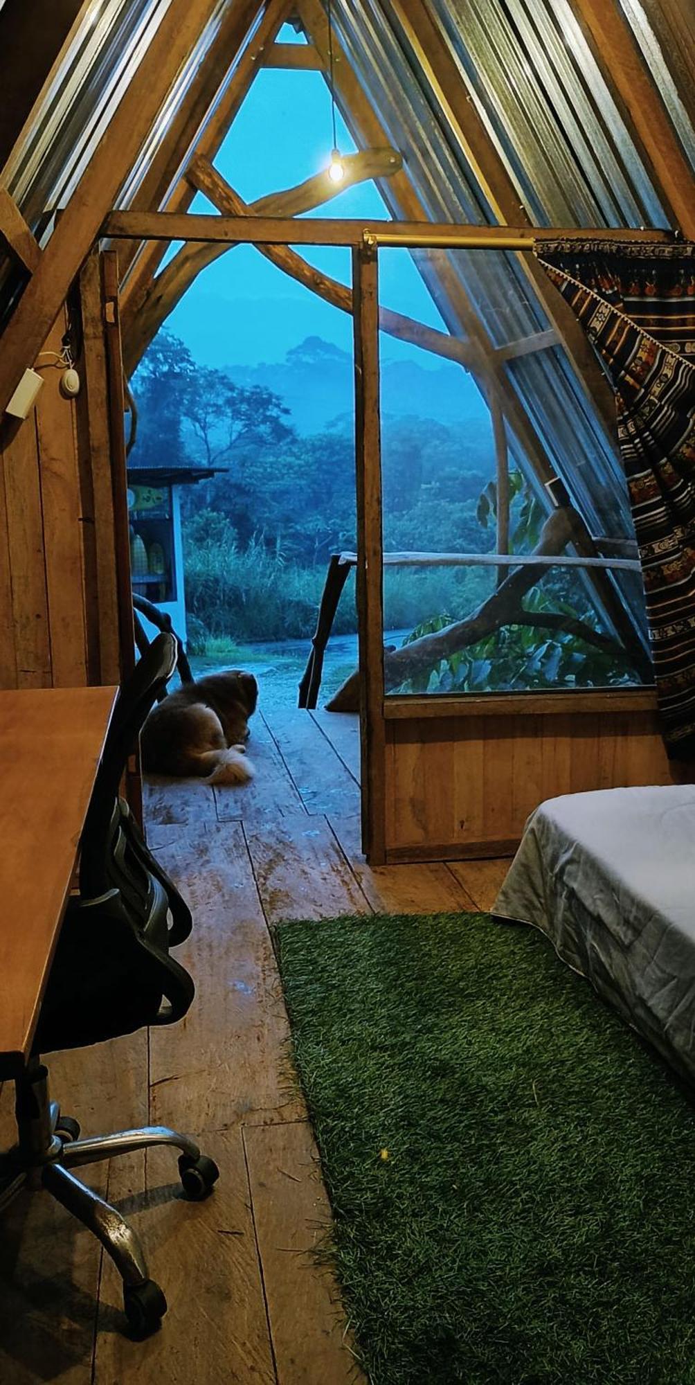 Jungle Roots Hotel Tena Quarto foto