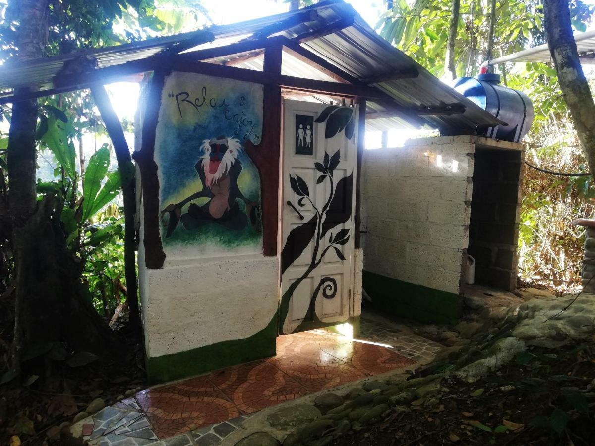 Jungle Roots Hotel Tena Exterior foto