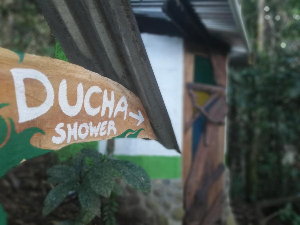 Jungle Roots Hotel Tena Exterior foto